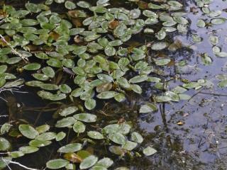 Img.VTax3485.ExN.Img4