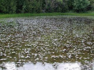 Img.VTax3485.ExN.Img8