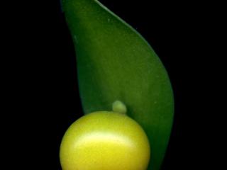 Img.VTax3599.ExN.Img18
