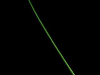 Img.VTax3702.ExN.Img1
