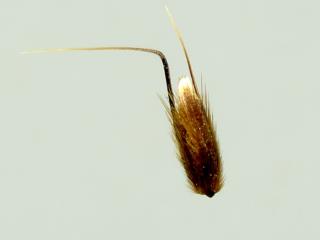 Img.VTax4054.ExN.Img4