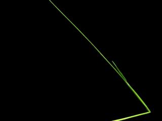 Img.VTax4054.ExN.Img9