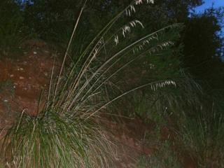 Img.VTax4136.ExN.Img6