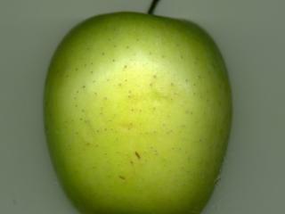 Img.VTax497.ExN.Img7