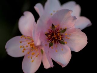 Img.VTax534.ExN.Img1