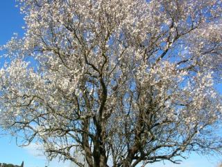 Img.VTax534.ExN.Img11