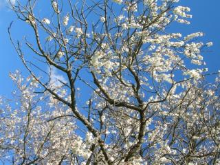 Img.VTax534.ExN.Img6