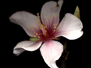 Img.VTax534.ExN.Img8