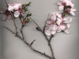 Img.VTax534.ExN.Img9