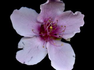 Img.VTax535.ExN.Img7