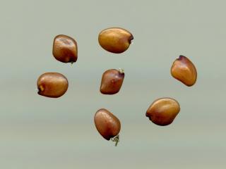 Img.VTax592.ExN.Img5