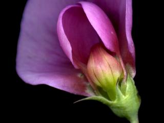 Img.VTax690.ExN.Img10