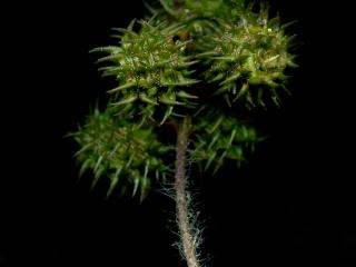 Img.VTax765.ExN.Img9