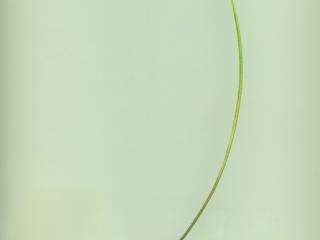Img.VTax786.ExN.Img8