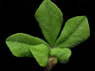 Img.VTax826.ExN.Img9