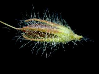 Img.VTax832.ExN.Img9