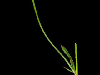 Img.VTax846.ExN.Img7