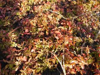 Img.VTax895.ExN.Img3