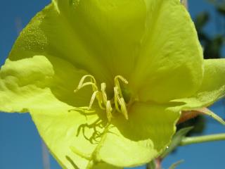 Img.VTax902.ExN.Img3