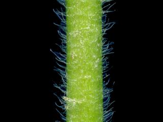 Img.VTax916.ExN.Img8