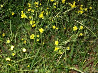 Img.VTax455.ExN.Img4