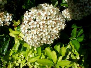 Img.VTax512.ExN.Img8