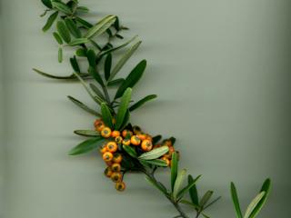 Img.VTax513.ExN.Img7