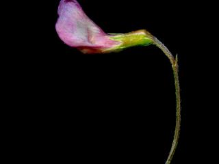 Img.VTax679.ExN.Img3