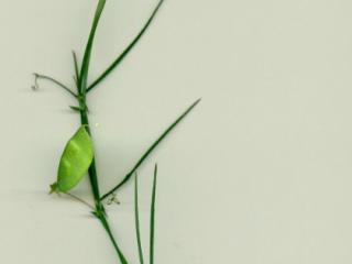 Img.VTax685.ExN.Img8