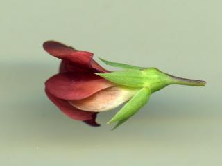 Img.VTax691.ExN.Img7