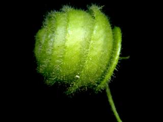 Img.VTax754.ExN.Img6