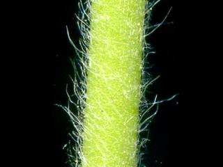 Img.VTax845.ExN.Img9