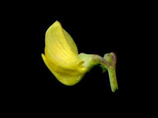 Img.VTax856.ExN.Img6
