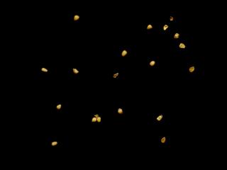 Img.VTax883.ExN.Img1