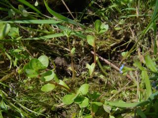 Img.VTax886.ExN.Img3