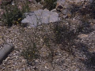 Img.VTax995.ExN.Img13