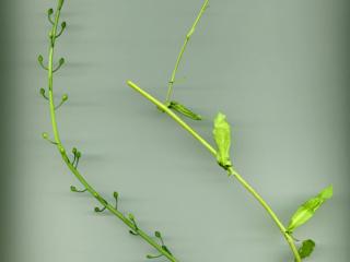 Img.VTax1119.ExN.Img3