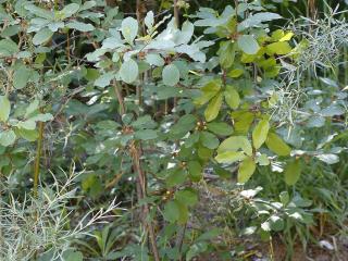 Img.VTax1483.ExN.Img6