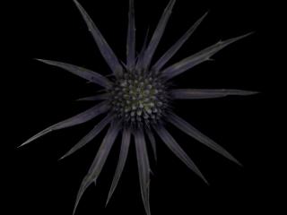 Img.VTax1505.ExN.Img14