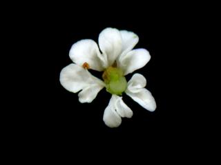 Img.VTax1512.ExN.Img9