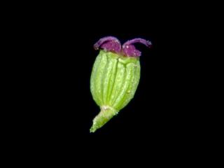 Img.VTax1546.ExN.Img13