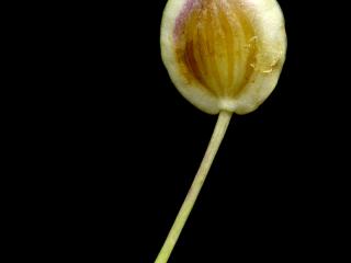Img.VTax1608.ExN.Img9