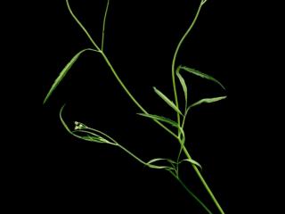 Img.VTax1625.ExN.Img6