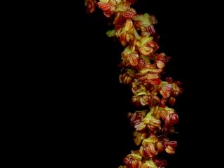 Img.VTax1671.ExN.Img9