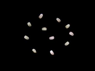 Img.VTax1728.ExN.Img4