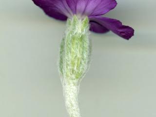 Img.VTax1987.ExN.Img8