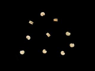 Img.VTax1999.ExN.Img2