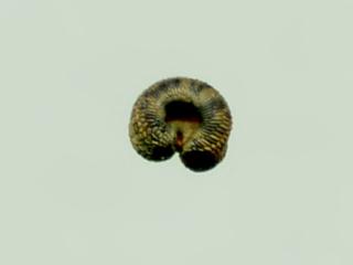 Img.VTax2016.ExN.Img8