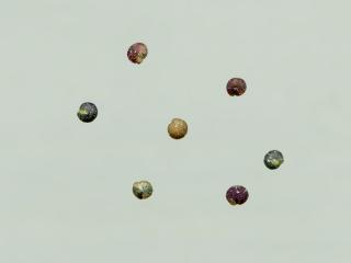 Img.VTax2069.ExN.Img10
