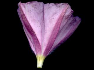 Img.VTax2308.ExN.Img3